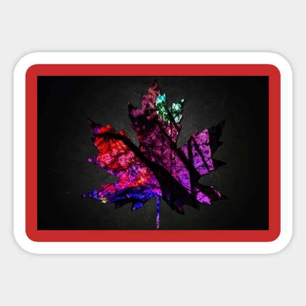 Maple leaf on black background Sticker by Choulous79